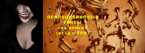 прущая мука Алзамай