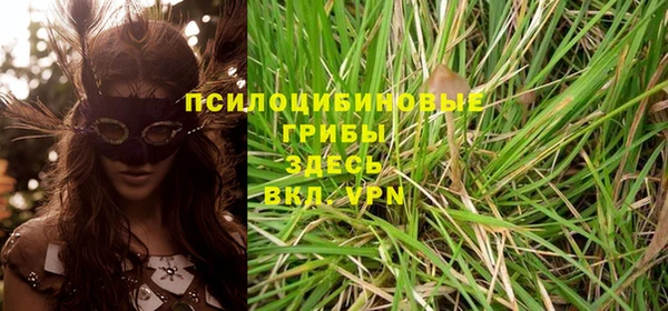 спайс Алексеевка