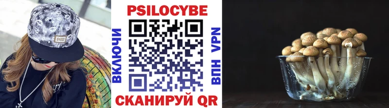 Галлюциногенные грибы мухоморы Александровск-Сахалинский