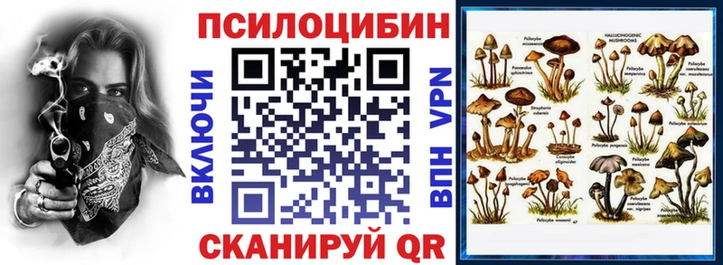 Псилоцибиновые грибы мухоморы Александровск-Сахалинский